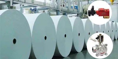Pneumatic Solenoid Valve for Paper Mill